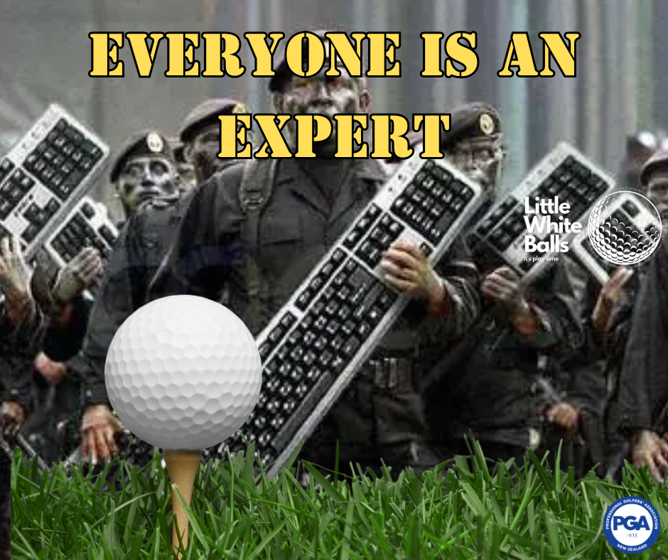 Everyone is an expert