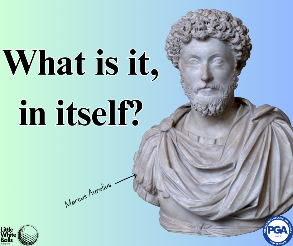 What is it, in itself?